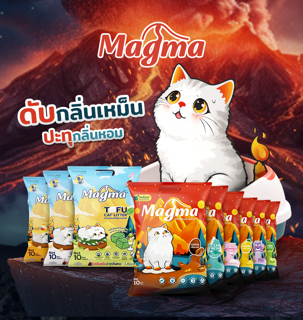 Kitten Products